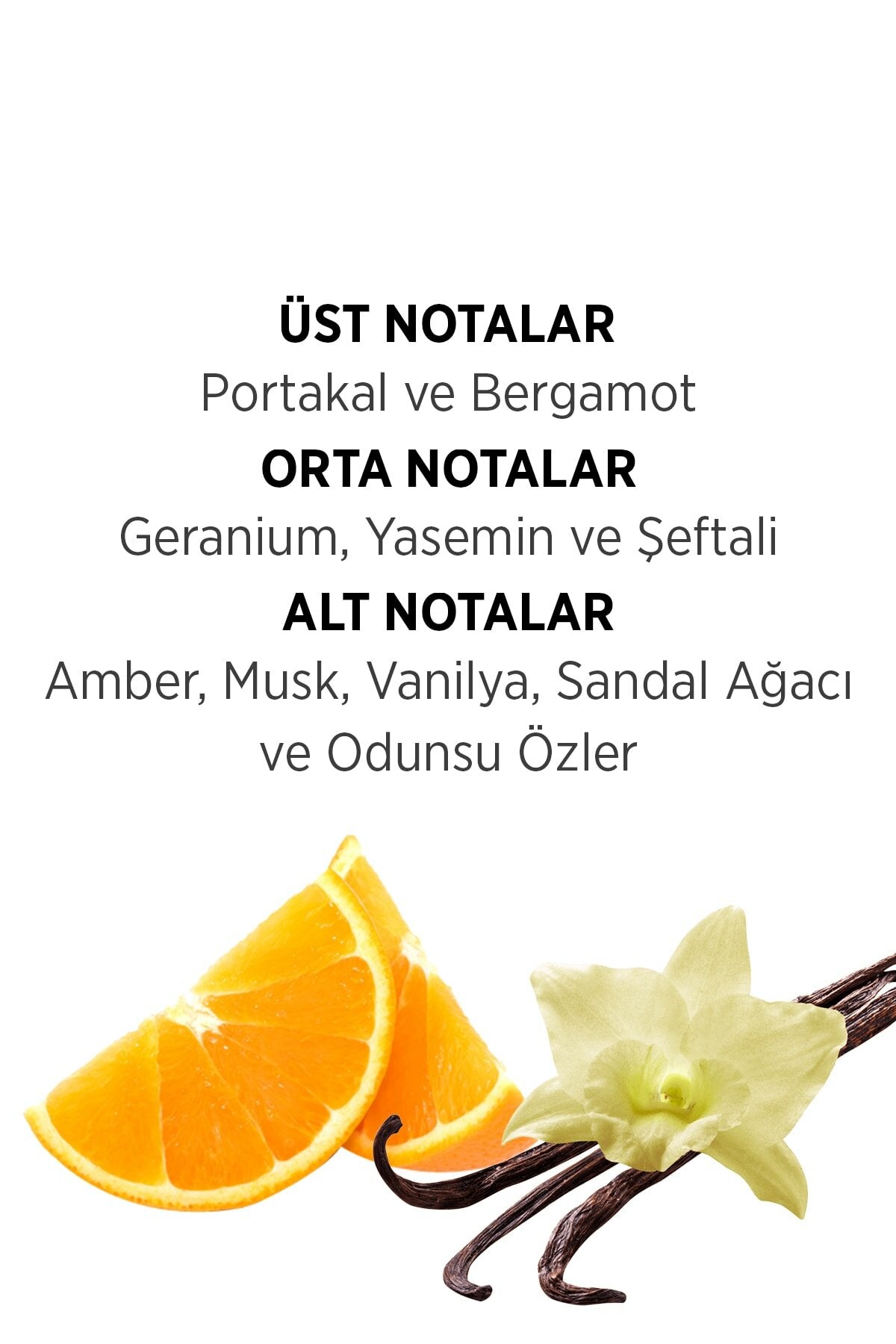 Edt Parfüm 100 ml & Deodorant 150 ml