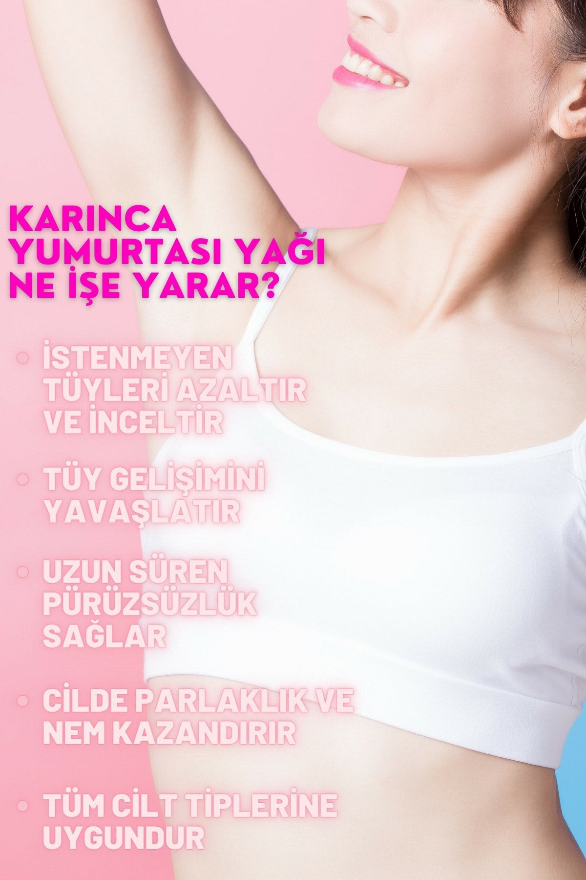 Ant Egg Oil 6 Pieces