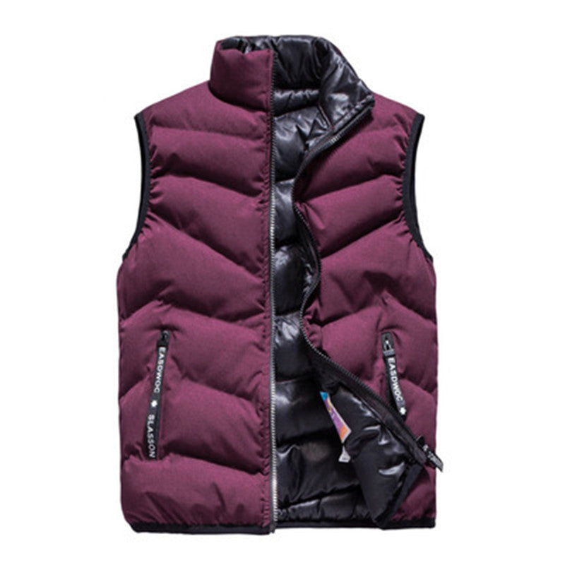 Cross-border vest men's autumn and winter Korean style trendy stand-up collar handsome down cotton padded waistcoat vest vest jacket