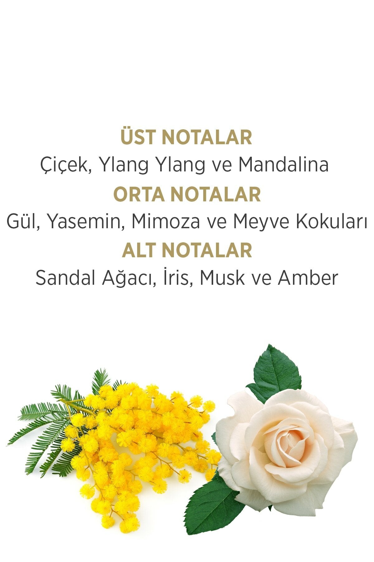 Gold Woman EDT Parfüm 100ml + Deodorant 150ml