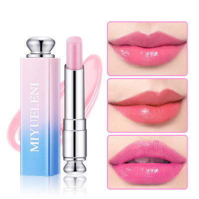 brand gradient lipstick moisturizing and moisturizing new color changing lasting waterproof lipstick cosmetics wholesale