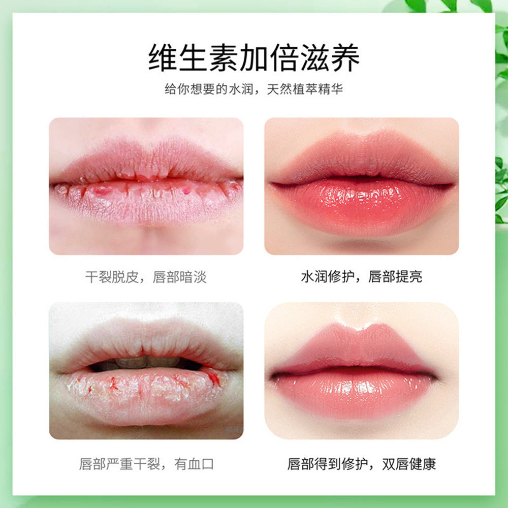 Lip Balm Fruity Moisturizing Colorless Lip Wrinkle Lip Balm Men and Women Lip Care